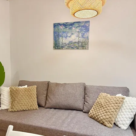 Modern With Garden Near Scs *